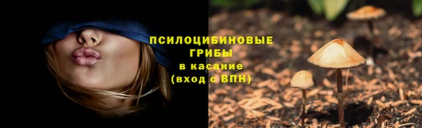 первитин Володарск