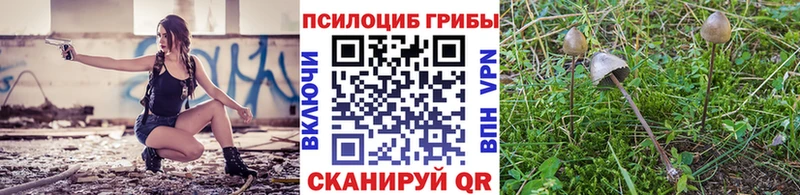 Галлюциногенные грибы ЛСД  где купить   Щёлково 